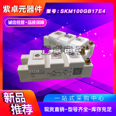SKM100GB17E4 SKM100GB173D SKM100GB176D全新原裝IGBT功率模塊